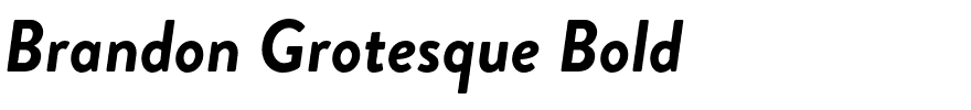 Brandon Grotesque Bold.otf