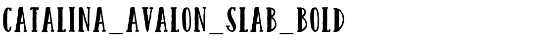 Catalina_Avalon_Slab_Bold.ttf