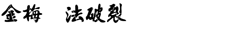 金梅书法破裂国际码.ttf