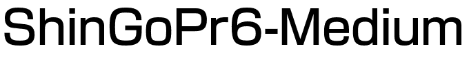 ShinGoPr6-Medium.otf