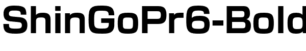 ShinGoPr6-Bold.otf
