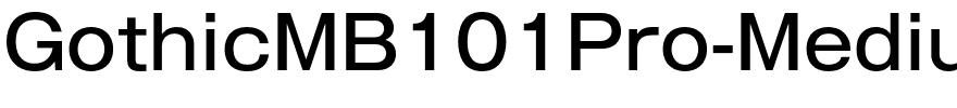 GothicMB101Pro-Medium.otf