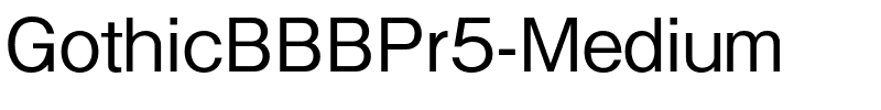 GothicBBBPr5-Medium.otf