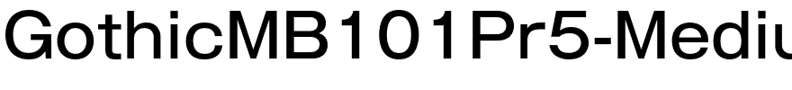 GothicMB101Pr5-Medium.otf
