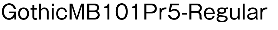 GothicMB101Pr5-Regular.otf