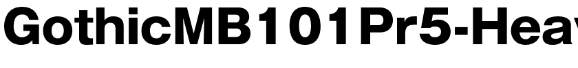 GothicMB101Pr5-Heavy.otf