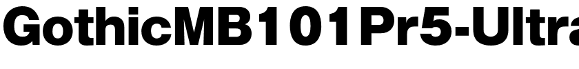 GothicMB101Pr5-Ultra.otf