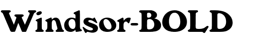 Windsor-BOLD.ttf