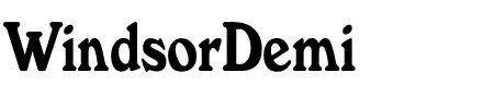 WindsorDemi.ttf