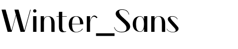 Winter_Sans.otf