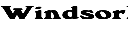 WindsorDemi.ttf