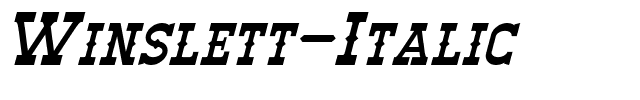 Winslett-Italic.otf