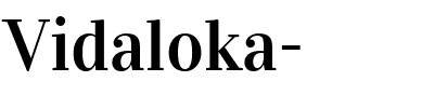 Vidaloka-.ttf