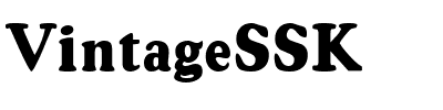 VintageSSK.ttf