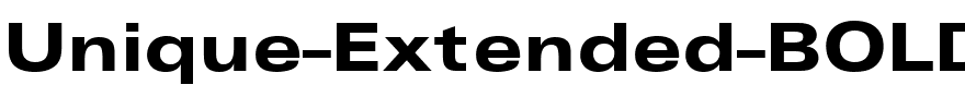 Unique-Extended-BOLD.ttf