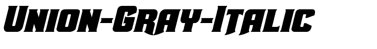 Union-Gray-Italic.ttf