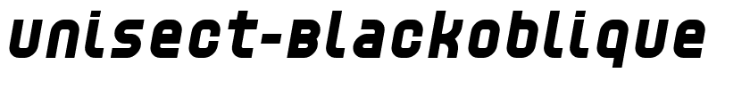 Unisect-BlackOblique.ttf