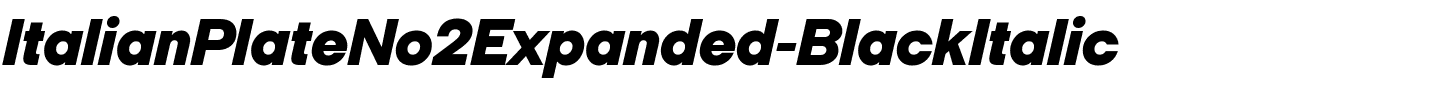 ItalianPlateNo2Expanded-BlackItalic.ttf