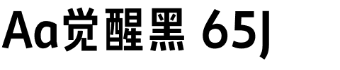 Aa觉醒黑 65J.ttf