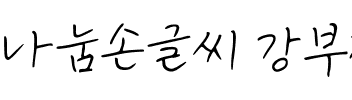 나눔손글씨 강부장님체.ttf