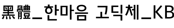 黑體_한마음 고딕체_KBIZgo M.otf