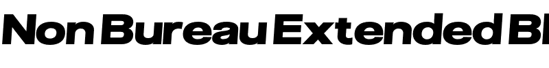 Non Bureau Extended Black.otf