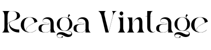 Reaga Vintage.ttf