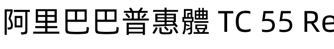 阿里巴巴普惠體 TC 55 Regular.otf