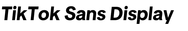 TikTok Sans Display.ttf