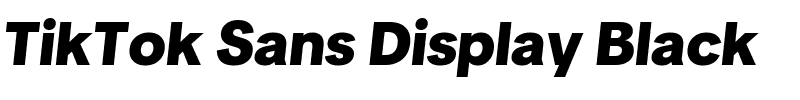 TikTok Sans Display Black.ttf