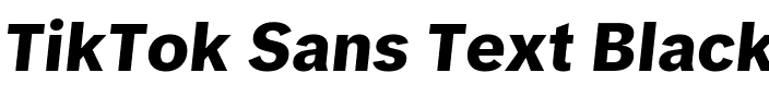 TikTok Sans Text Black.ttf