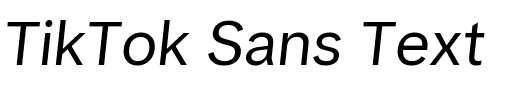 TikTok Sans Text.ttf