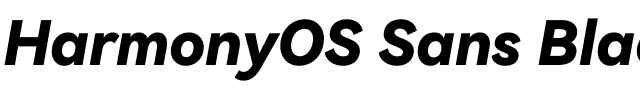 HarmonyOS Sans Black.ttf