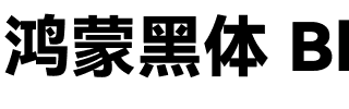 鸿蒙黑体 Black.ttf