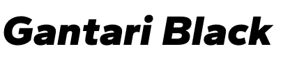 Gantari Black.otf