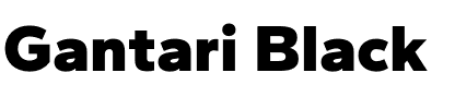 Gantari Black.otf