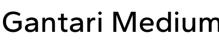 Gantari Medium.otf