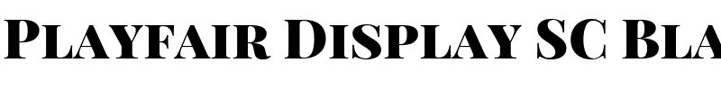 Playfair Display SC Black.ttf