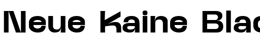 Neue Kaine Black.ttf