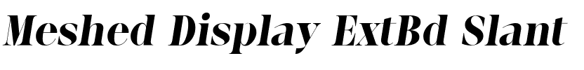 Meshed Display ExtBd Slant.ttf