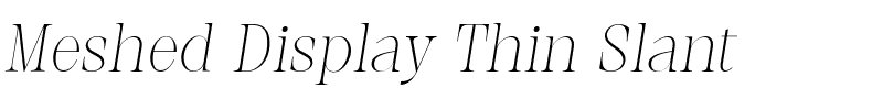 Meshed Display Thin Slant.ttf