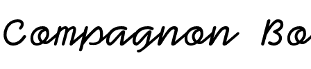 Compagnon Bold.otf