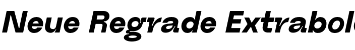Neue Regrade Extrabold.otf