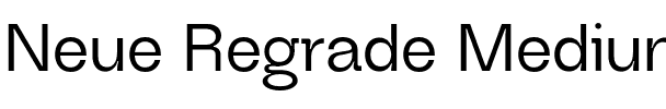 Neue Regrade Medium.otf