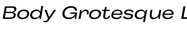 Body Grotesque Large.otf