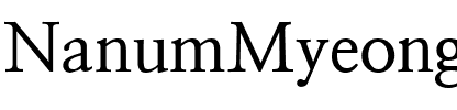NanumMyeongjo.ttf