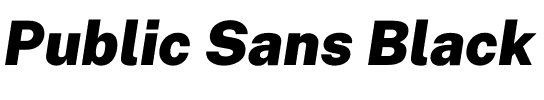 Public Sans Black.otf