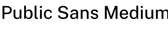 Public Sans Medium.otf