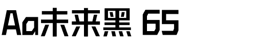 Aa未来黑 65.ttf