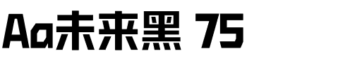 Aa未来黑 75.ttf
